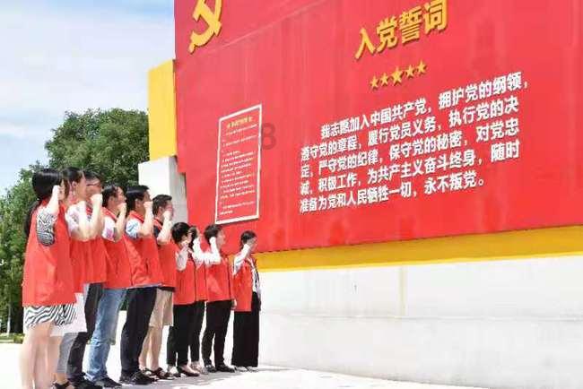 可爱猫咪救援